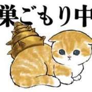 ヒメ日記 2024/12/19 11:10 投稿 圭（けい）☆最高級のおもてなし ジャックと豆の木