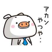 ヒメ日記 2024/12/23 19:02 投稿 圭（けい）☆最高級のおもてなし ジャックと豆の木