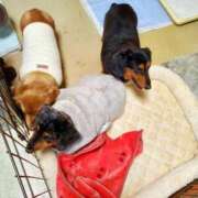 ヒメ日記 2024/12/30 18:06 投稿 圭（けい）☆最高級のおもてなし ジャックと豆の木