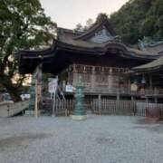 ヒメ日記 2025/01/15 00:28 投稿 圭（けい）☆最高級のおもてなし ジャックと豆の木