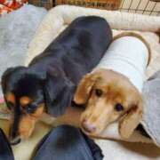 ヒメ日記 2025/01/20 13:43 投稿 圭（けい）☆最高級のおもてなし ジャックと豆の木