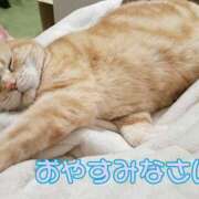 ヒメ日記 2025/02/12 22:32 投稿 圭（けい）☆最高級のおもてなし ジャックと豆の木