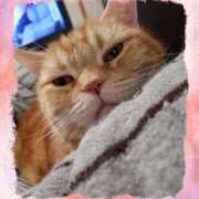 ヒメ日記 2025/02/22 12:02 投稿 圭（けい）☆最高級のおもてなし ジャックと豆の木