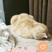 ヒメ日記 2025/03/05 12:32 投稿 圭（けい）☆最高級のおもてなし ジャックと豆の木