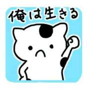 ヒメ日記 2025/03/06 08:45 投稿 圭（けい）☆最高級のおもてなし ジャックと豆の木