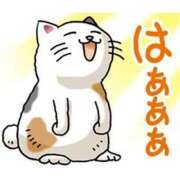 ヒメ日記 2025/03/13 21:30 投稿 圭（けい）☆最高級のおもてなし ジャックと豆の木