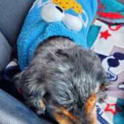 ヒメ日記 2025/03/21 10:50 投稿 圭（けい）☆最高級のおもてなし ジャックと豆の木