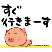 ヒメ日記 2025/03/27 11:00 投稿 圭（けい）☆最高級のおもてなし ジャックと豆の木