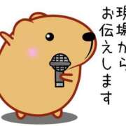 ヒメ日記 2025/03/28 11:12 投稿 圭（けい）☆最高級のおもてなし ジャックと豆の木