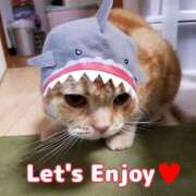 ヒメ日記 2025/03/31 12:36 投稿 圭（けい）☆最高級のおもてなし ジャックと豆の木