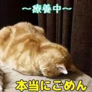 ヒメ日記 2025/04/11 20:09 投稿 圭（けい）☆最高級のおもてなし ジャックと豆の木