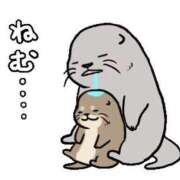 ヒメ日記 2025/04/21 03:55 投稿 圭（けい）☆最高級のおもてなし ジャックと豆の木