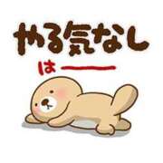 ヒメ日記 2025/05/15 16:12 投稿 圭（けい）☆最高級のおもてなし ジャックと豆の木