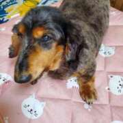 ヒメ日記 2025/05/26 18:35 投稿 圭（けい）☆最高級のおもてなし ジャックと豆の木