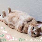 ヒメ日記 2025/06/16 09:14 投稿 圭（けい）☆最高級のおもてなし ジャックと豆の木