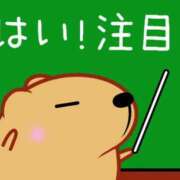 ヒメ日記 2025/06/16 18:00 投稿 圭（けい）☆最高級のおもてなし ジャックと豆の木