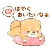 ヒメ日記 2025/06/21 18:00 投稿 圭（けい）☆最高級のおもてなし ジャックと豆の木