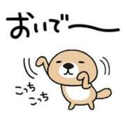 ヒメ日記 2025/06/23 18:00 投稿 圭（けい）☆最高級のおもてなし ジャックと豆の木