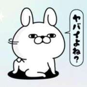 ヒメ日記 2025/06/25 12:45 投稿 圭（けい）☆最高級のおもてなし ジャックと豆の木