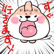 ヒメ日記 2025/06/26 11:43 投稿 圭（けい）☆最高級のおもてなし ジャックと豆の木