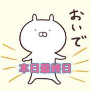 ヒメ日記 2025/06/29 12:00 投稿 圭（けい）☆最高級のおもてなし ジャックと豆の木