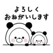 ヒメ日記 2025/07/07 20:33 投稿 圭（けい）☆最高級のおもてなし ジャックと豆の木