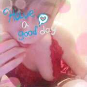 ヒメ日記 2025/07/17 09:15 投稿 圭（けい）☆最高級のおもてなし ジャックと豆の木