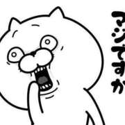 ヒメ日記 2025/08/31 12:30 投稿 圭（けい）☆最高級のおもてなし ジャックと豆の木