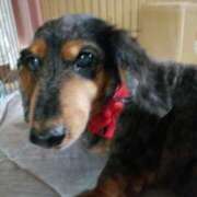 ヒメ日記 2025/09/01 09:36 投稿 圭（けい）☆最高級のおもてなし ジャックと豆の木