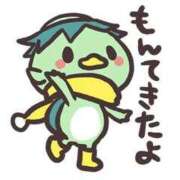 ヒメ日記 2025/09/01 18:31 投稿 圭（けい）☆最高級のおもてなし ジャックと豆の木