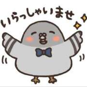 ヒメ日記 2025/09/08 10:08 投稿 圭（けい）☆最高級のおもてなし ジャックと豆の木