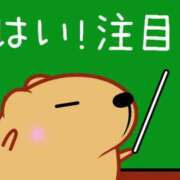 ヒメ日記 2025/10/11 10:00 投稿 圭（けい）☆最高級のおもてなし ジャックと豆の木
