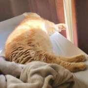 ヒメ日記 2025/10/27 12:26 投稿 圭（けい）☆最高級のおもてなし ジャックと豆の木