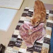 ヒメ日記 2025/11/03 18:20 投稿 圭（けい）☆最高級のおもてなし ジャックと豆の木