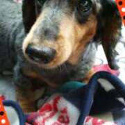 ヒメ日記 2025/11/06 10:40 投稿 圭（けい）☆最高級のおもてなし ジャックと豆の木