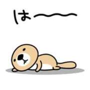 ヒメ日記 2025/11/09 22:01 投稿 圭（けい）☆最高級のおもてなし ジャックと豆の木