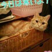 ヒメ日記 2025/11/12 13:30 投稿 圭（けい）☆最高級のおもてなし ジャックと豆の木