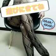 ヒメ日記 2025/11/18 18:02 投稿 圭（けい）☆最高級のおもてなし ジャックと豆の木