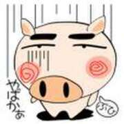 ヒメ日記 2025/11/27 02:14 投稿 圭（けい）☆最高級のおもてなし ジャックと豆の木