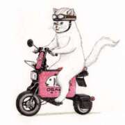 ヒメ日記 2025/12/11 10:10 投稿 圭（けい）☆最高級のおもてなし ジャックと豆の木