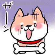 ヒメ日記 2025/12/29 21:03 投稿 圭（けい）☆最高級のおもてなし ジャックと豆の木