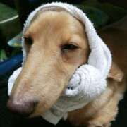 ヒメ日記 2026/01/11 16:45 投稿 圭（けい）☆最高級のおもてなし ジャックと豆の木