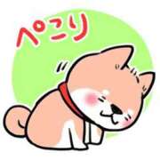 ヒメ日記 2026/02/05 11:55 投稿 圭（けい）☆最高級のおもてなし ジャックと豆の木