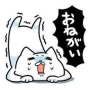 ヒメ日記 2026/02/06 17:45 投稿 圭（けい）☆最高級のおもてなし ジャックと豆の木