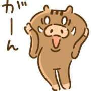 ヒメ日記 2026/02/08 15:07 投稿 圭（けい）☆最高級のおもてなし ジャックと豆の木