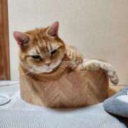 ヒメ日記 2026/02/17 18:54 投稿 圭（けい）☆最高級のおもてなし ジャックと豆の木