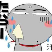 ヒメ日記 2026/02/18 11:46 投稿 圭（けい）☆最高級のおもてなし ジャックと豆の木