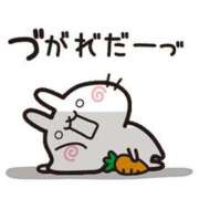 ヒメ日記 2026/02/19 11:01 投稿 圭（けい）☆最高級のおもてなし ジャックと豆の木