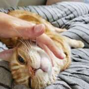 ヒメ日記 2026/02/23 09:56 投稿 圭（けい）☆最高級のおもてなし ジャックと豆の木