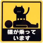 ヒメ日記 2026/03/21 12:01 投稿 圭（けい）☆最高級のおもてなし ジャックと豆の木